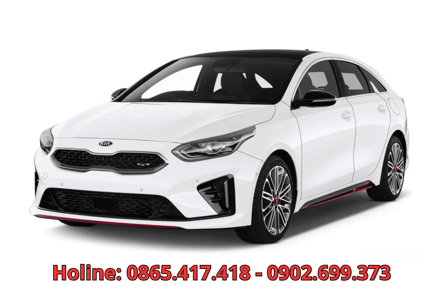xe du lịch Thành Đạt